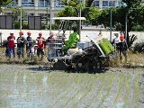 5年田植えの画像