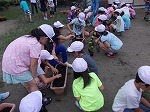ペアプランター活動の画像