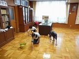 教室のワックスがけの画像