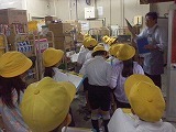 3年生社会科校外学習の画像
