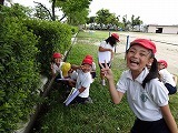 3年生の理科「しぜんのかんさつをしよう」の画像