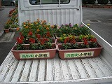 お花をもって行きましたの画像