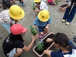 ペアプランターづくりの画像