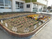 入学式・始業式の画像