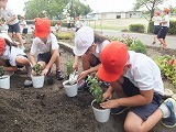 「にしお都市緑化フェア」の花を育てますの画像