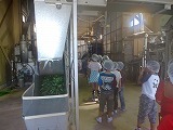 3年生赤堀製茶場見学の画像