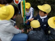 とびだしくん設置の画像