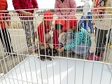 外遊びの日の画像
