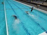 水泳指導の画像