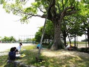 絵をかく会の画像