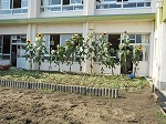 クラブ活動の画像