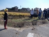 5年稲刈りの画像