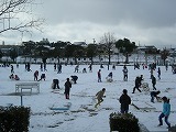 雪の日の画像