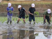 5年田植えの画像