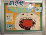 めざせきらりん歯の画像