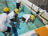 プール掃除の画像