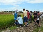 全校出校日・5年かかし作りの画像