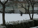 雪の日の画像