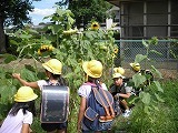 今日の活動⑤(8/18)の画像