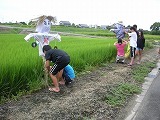 5年かかし作りの画像