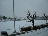 雪の日の画像