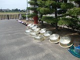 こんなところに、、?の画像