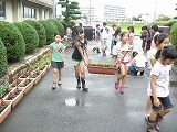 3年・5年ペアプランター作りの画像