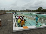 プール清掃の画像