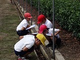 3年生の理科「しぜんのかんさつをしよう」の画像