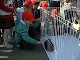 今日(1/27)の活動よりの画像