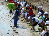 5年田植えの画像