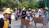 6年修学旅行1日目②の画像