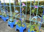 今日の活動よりの画像