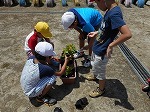 ペアプランターづくりの画像