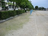 運動場の草刈りの画像