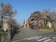 入学式・始業式の画像