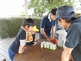 3年手もみ茶体験の画像
