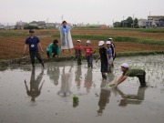 5年田植えの画像
