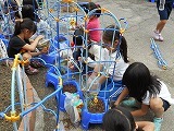 ミニトマトの苗植えの画像