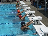 西尾市小学校水泳大会の画像