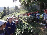 3年生社会見学①の画像