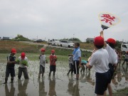 5年田植えの画像