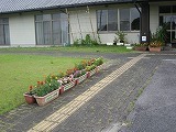 お花をもって行きましたの画像