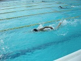 水泳部練習の画像