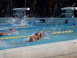 水泳大会の画像