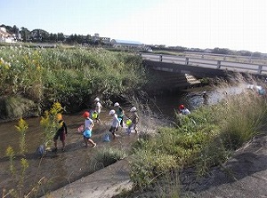 4年生　朝鮮川生き物調べの画像