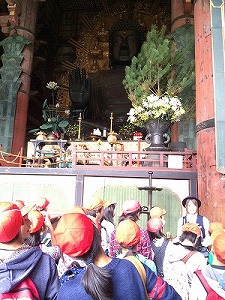 修学旅行　奈良公園　大仏殿の画像